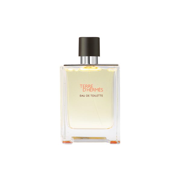 HERMES Terre d'Hermes Eau de Toilette 100ml (Simple Packaging No Box)